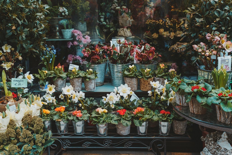کندو - گل فروشی آنلاین گلستان